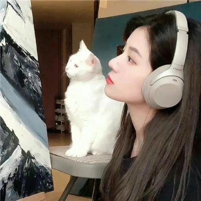 风骚律师第三季
